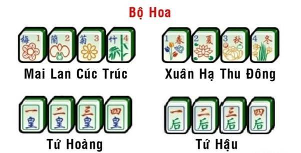 Bộ Hoa