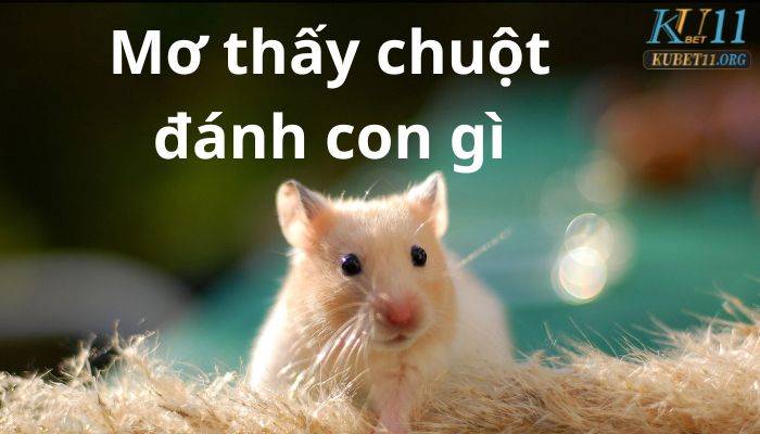 Mơ thấy chuột đánh con gì