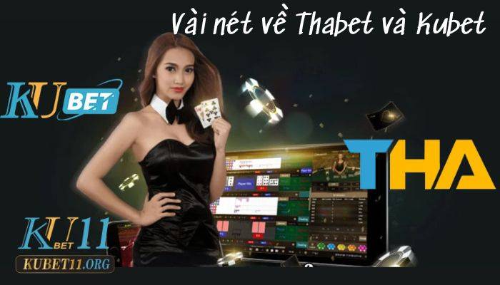 Vài nét về nhà cái thabet và kubet