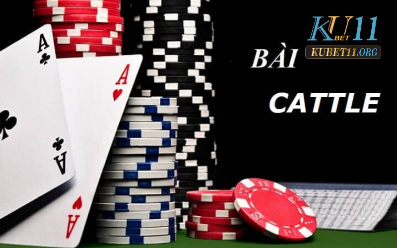 Bài catte - trải nghiệm hấp dẫn cho người chơi tại Kubet